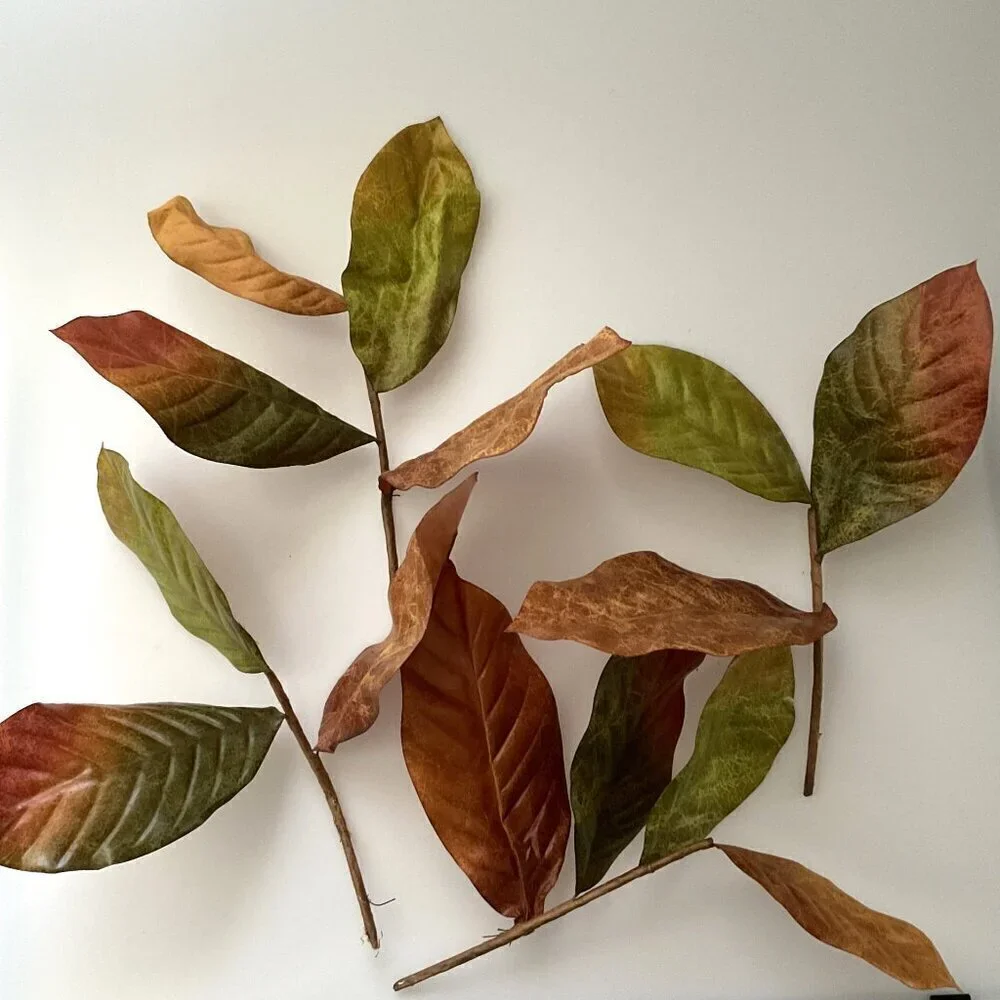 MAGNOLIA BIG LEAVES  DIY BUNDLE CRAFTS HOME DECOR 30 LEAVES 4 BRANCHES